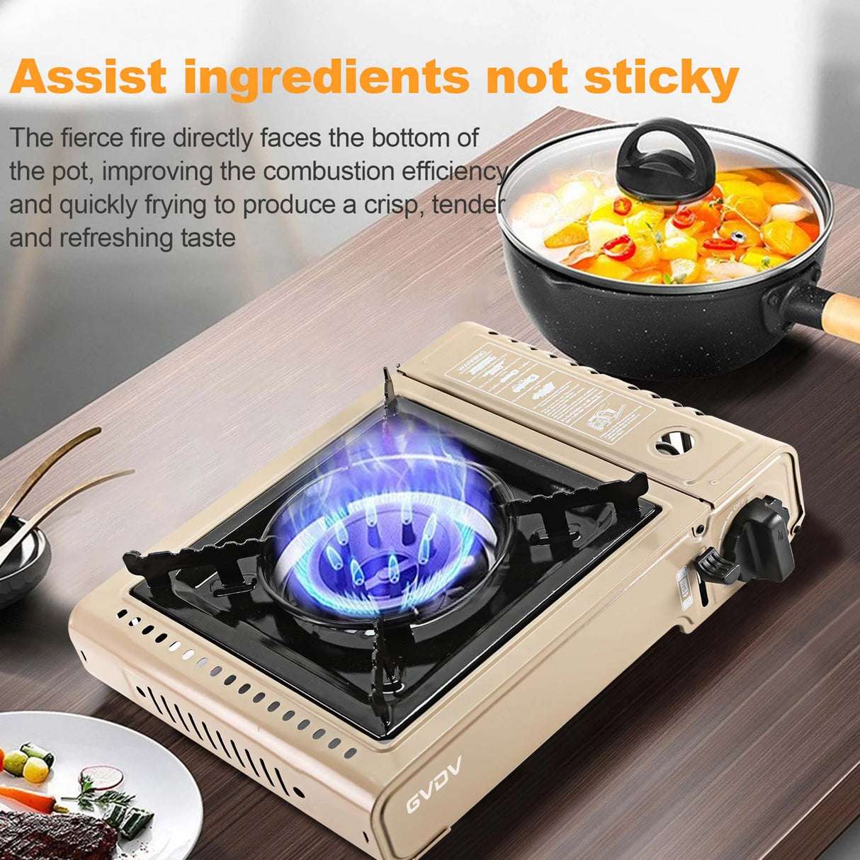 GVDV PORTABLE 1-BURNER BUTANE CAMPING GOLD STOVE WITH UPDATED CARRYING CASE