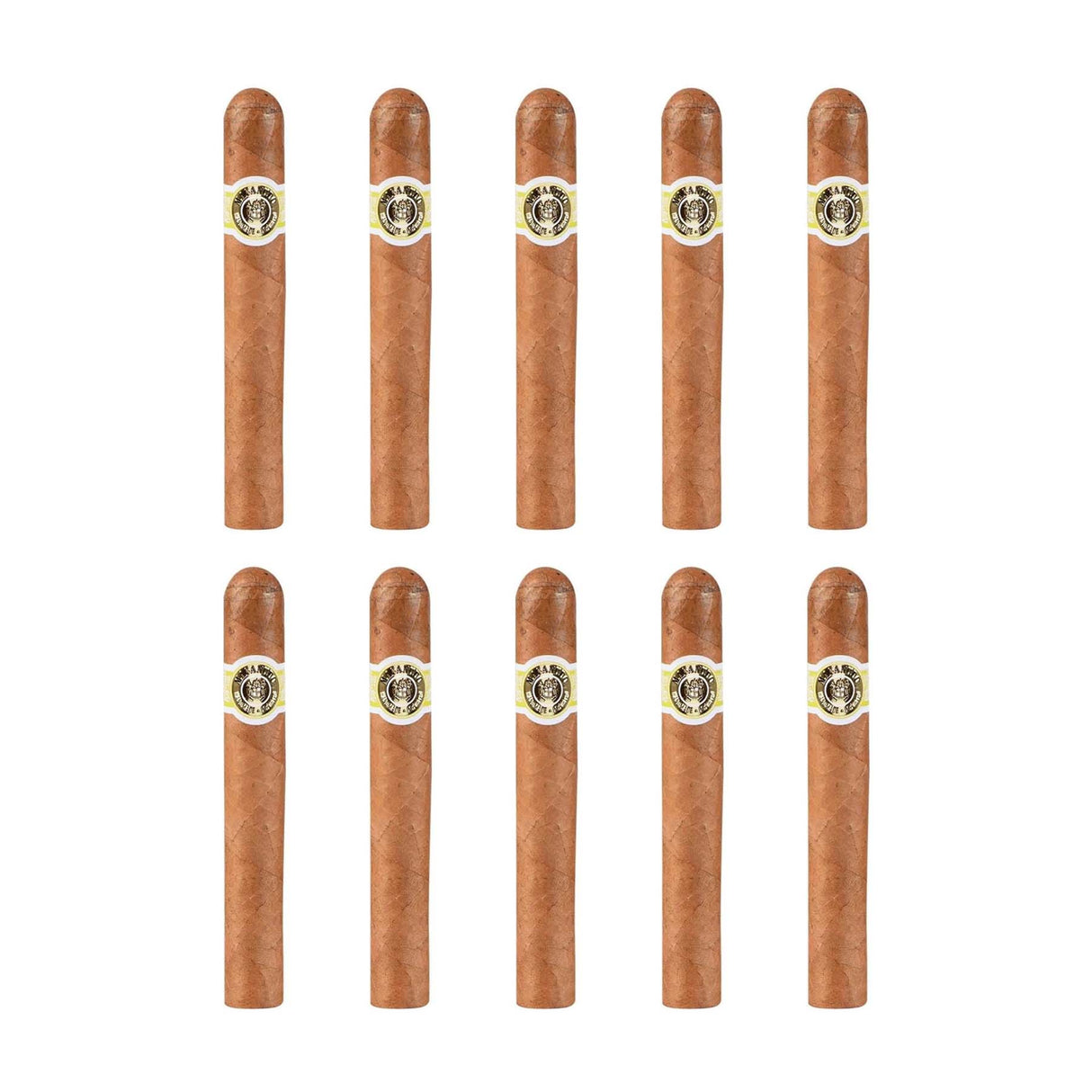 MACANUDO MACANUDO CIGAR MONTEGO Y CIA HYDE PARK CAFE Pack of 10 Hand-Rolled Classic Cigars