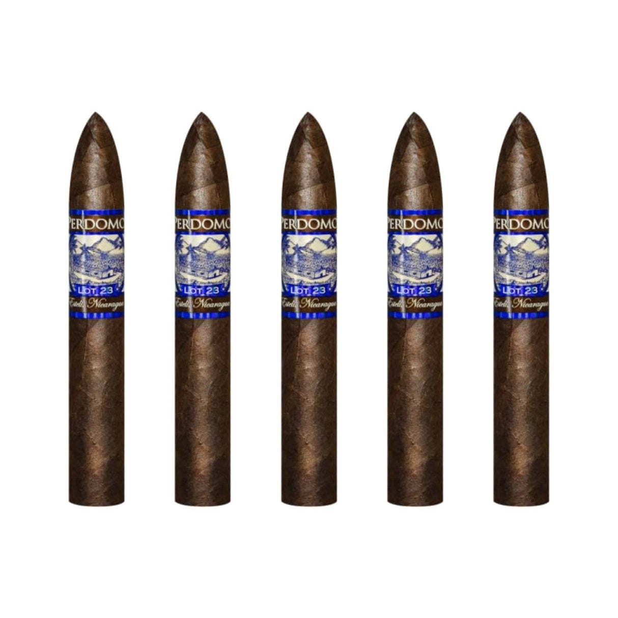 PERDOMO PERDOMO LOT 23 BELICOSO Pack of 5 Nicaraguan Cigars
