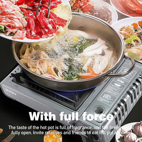 GVDV PORTABLE 1-BURNER BUTANE CAMPING GRAY STOVE WITH UPDATED CARRYING CASE