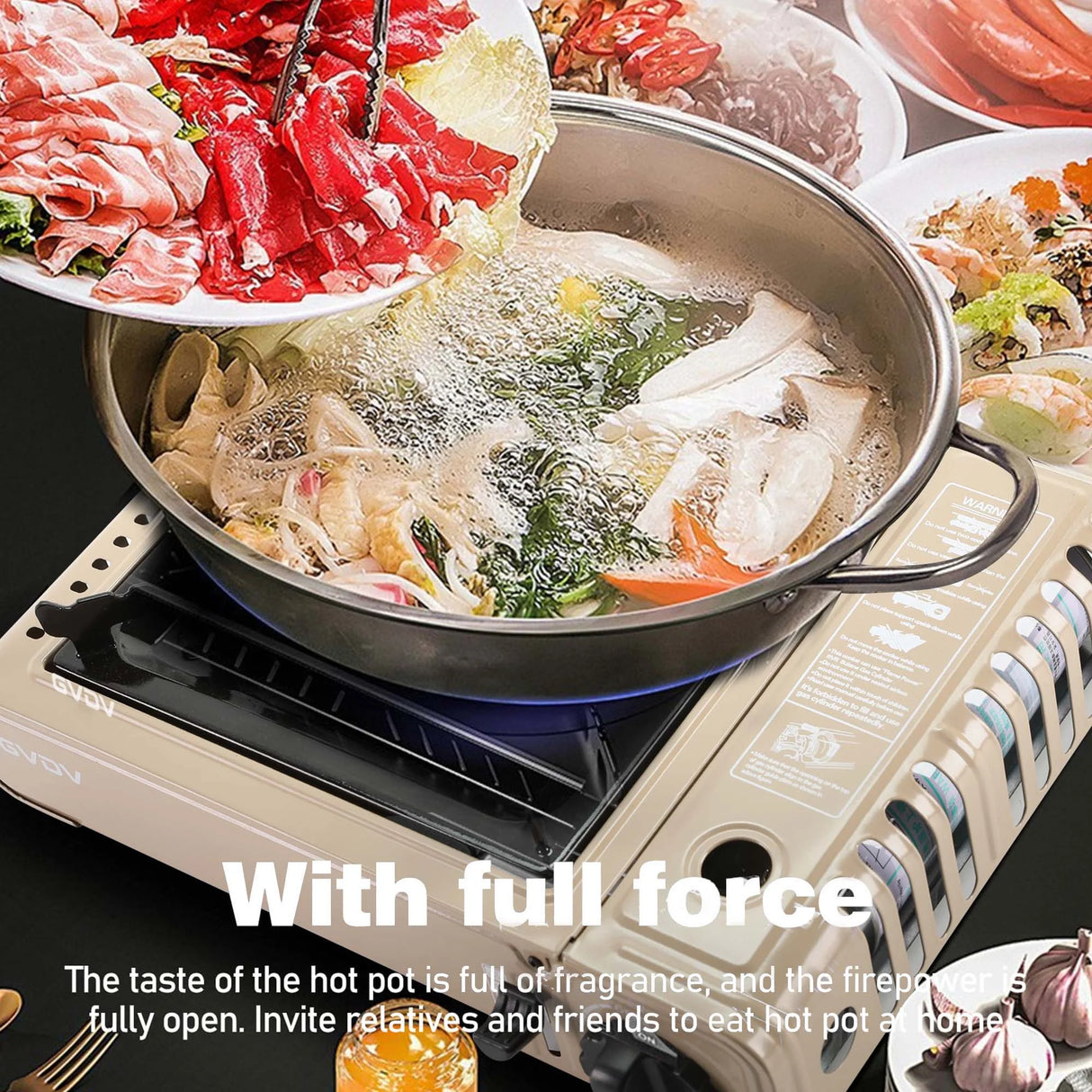 GVDV PORTABLE 1-BURNER BUTANE CAMPING GOLD STOVE WITH UPDATED CARRYING CASE