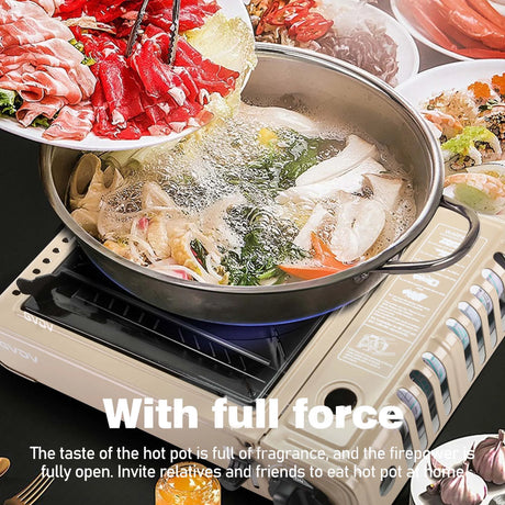 GVDV PORTABLE 1-BURNER BUTANE CAMPING GOLD STOVE WITH UPDATED CARRYING CASE