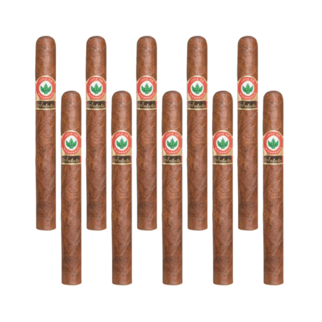 Joya de Nicaragua antano 1970 churchill pack of 10 robusto cigar