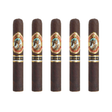 Arturo Fuente god of fire serie b pack of 5 robusto cigar
