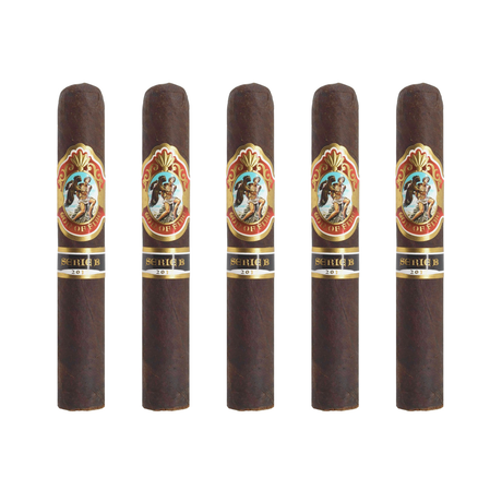 Arturo Fuente god of fire serie b pack of 5 robusto cigar