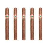 Joya de Nicaragua antano 1970 churchill pack of 5 robusto cigar