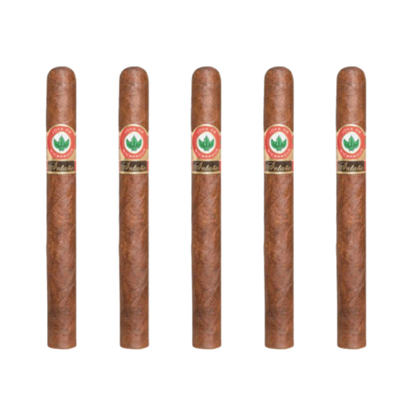 Joya de Nicaragua antano 1970 churchill pack of 5 robusto cigar