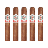 Avo syncro caribe robusto 5" x 50 pack of 5 robusto cigar