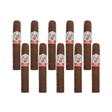 Avo avo syncro caribe robusto pack of 10 robusto cigar