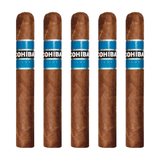 Cohiba blue robusto 5 1/2 x 50 pack of 5 robusto cigar