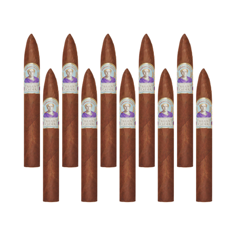 Diamond Crown julius caeser pyramid 6½ x 52 pack of 10 robusto cigar