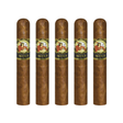 La Gloria Cubana la gloria serie r no. 5 robusto pack of 5 robusto cigar