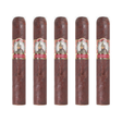 Foundation Cigar Co. tabernacle havana seed ct no.142 robusto pack of 5 robusto cigar