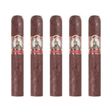 Foundation Cigar Co. tabernacle havana seed ct no.142 robusto pack of 5 robusto cigar